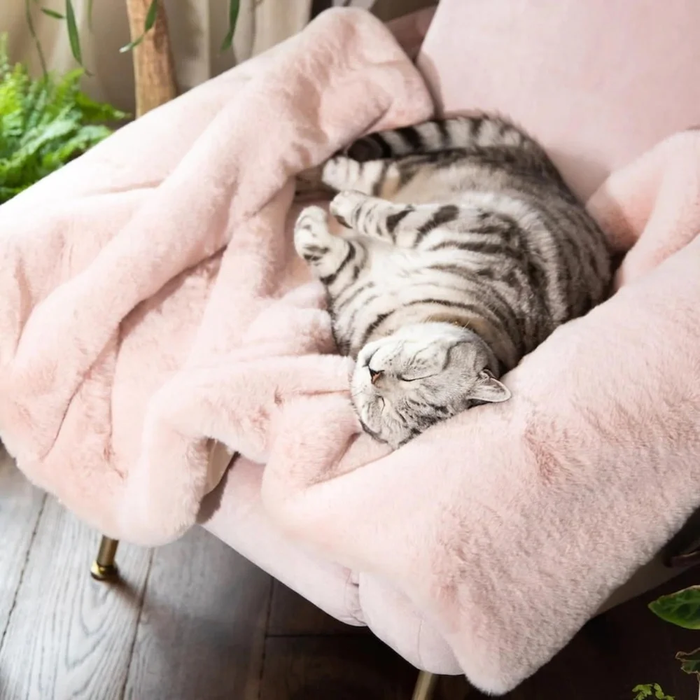 cheshire and wain london cat cloud® throw & bed set